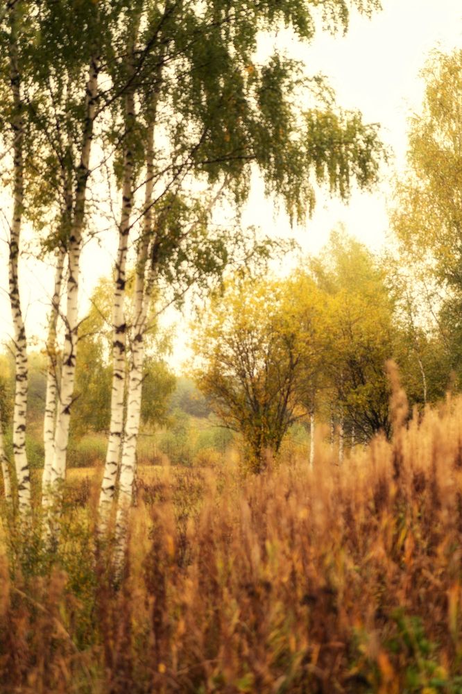 Photograph by Евгения Литовченко