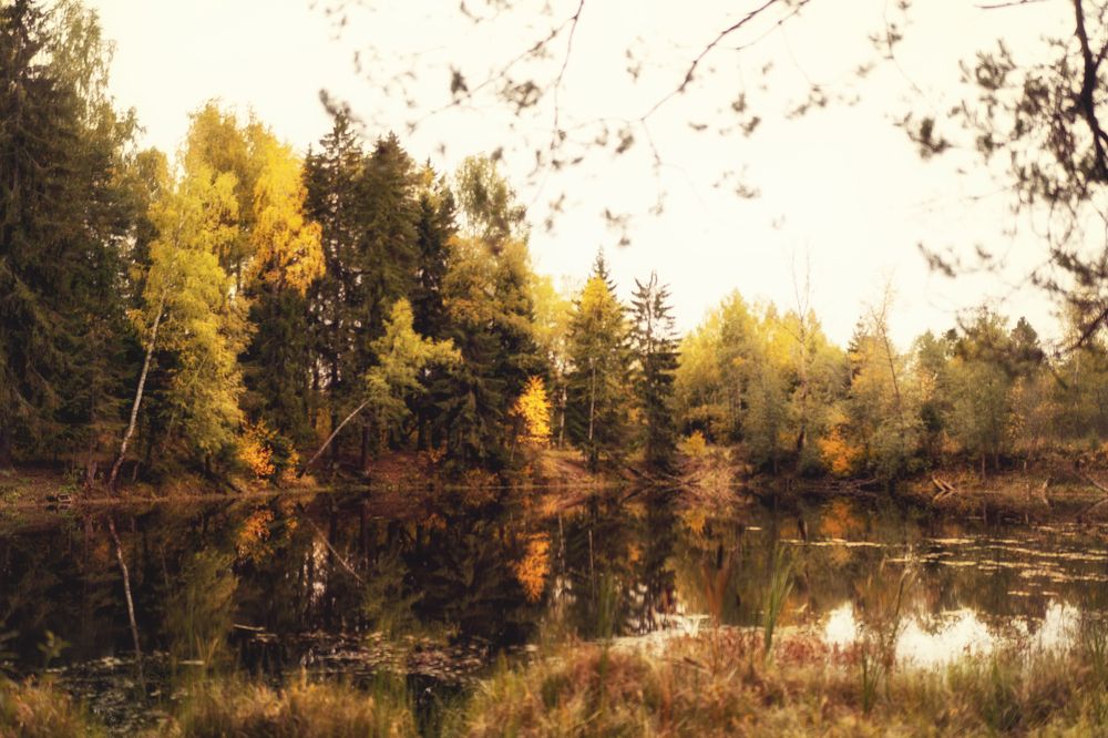 Photograph by Евгения Литовченко