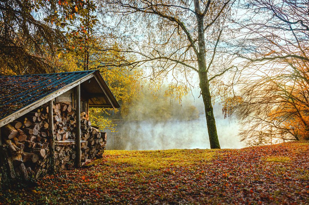 Photograph by LYUDMYLA POKRYSHEN