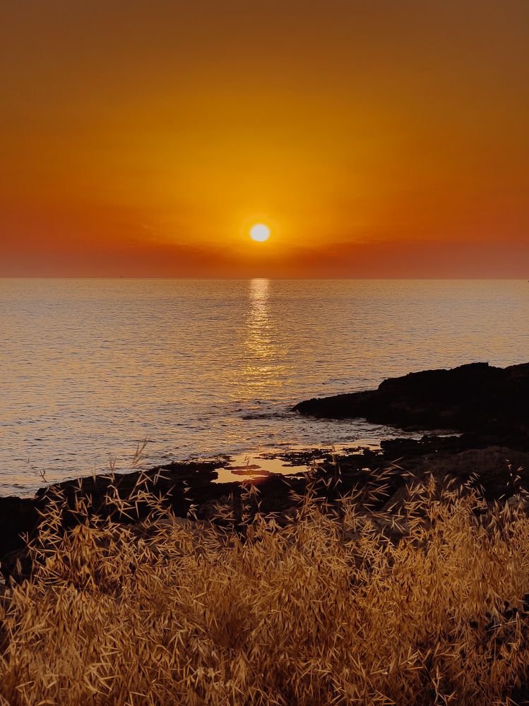 Photograph by George Amvro