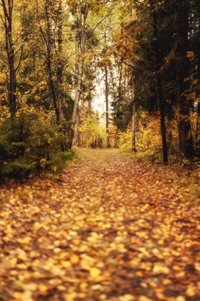 Photograph by Евгения Литовченко