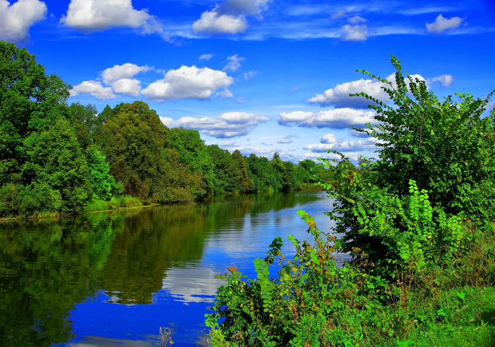 Photograph by Elena Dementova