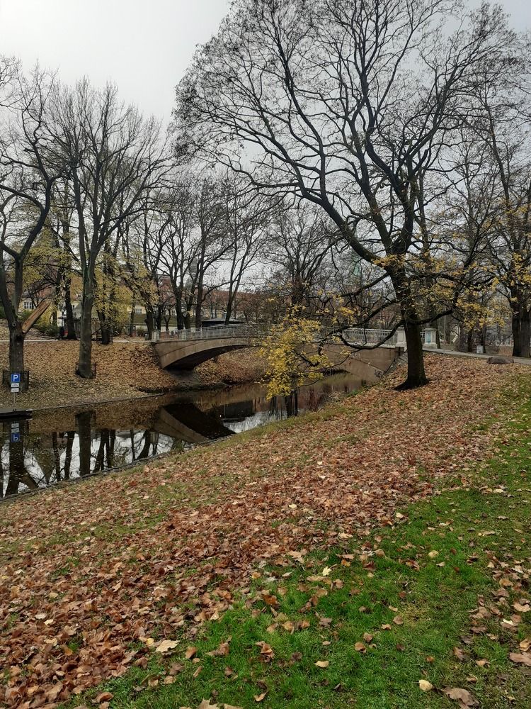 Фотография автора Maks Lanister