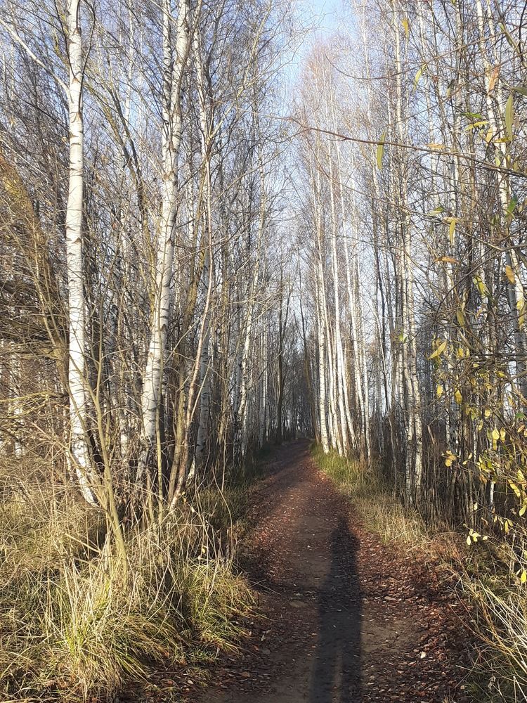 Фотография автора Maks Lanister