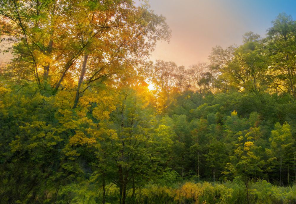 Photograph by ТИЕН ДО