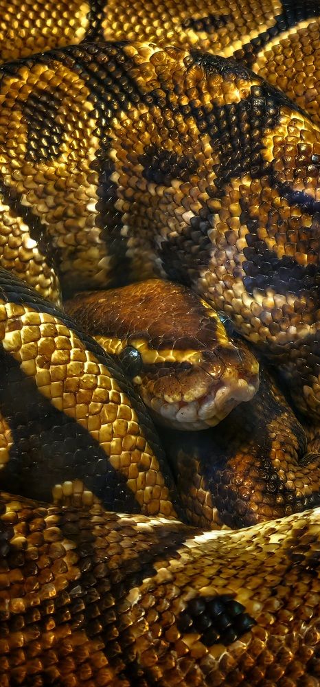 Photograph by Konstantin Martynov