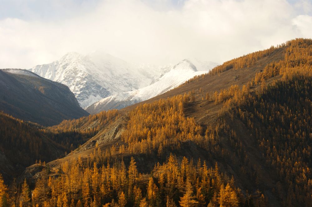 Photograph by Юлия Лазебная