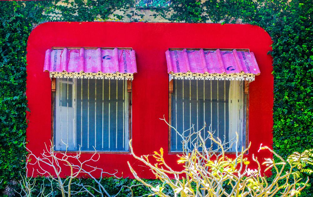 Photograph by Manish (Valmie) Joshi