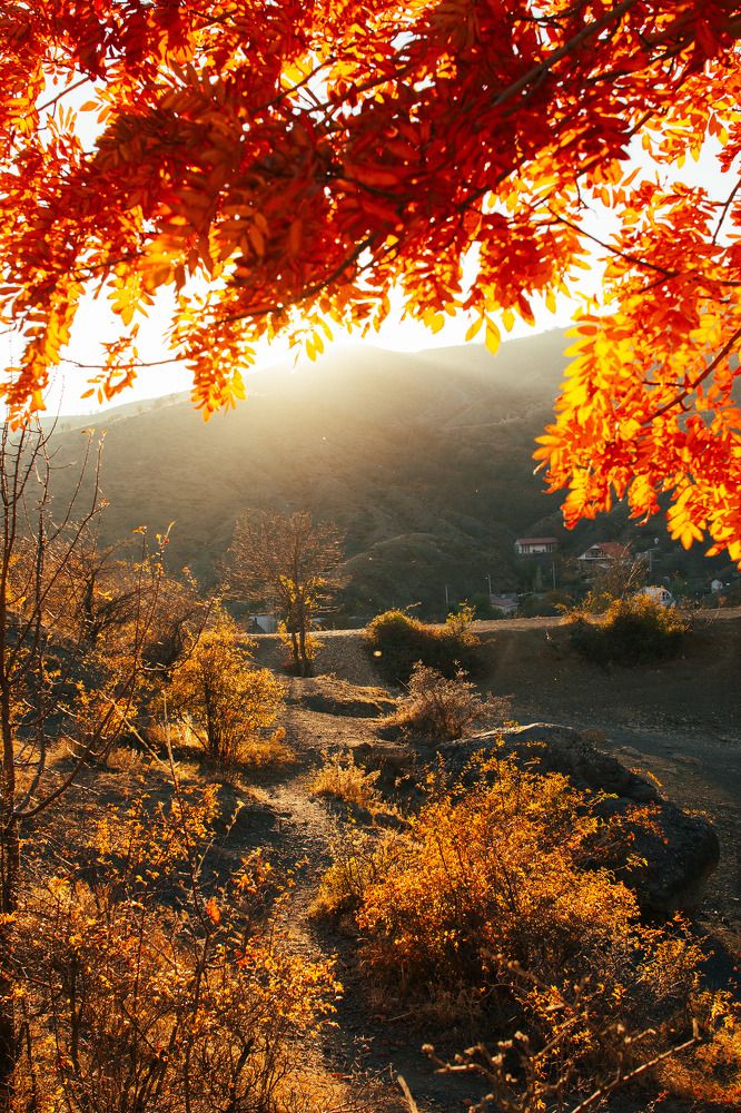 Photograph by Карина Кулиева