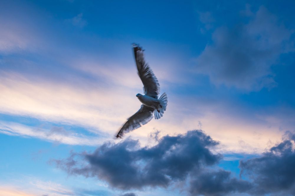 Фотография автора Андрей Жуков