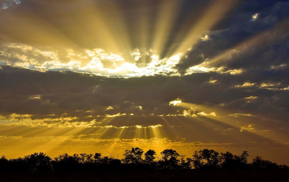 Photograph by Margo Margo