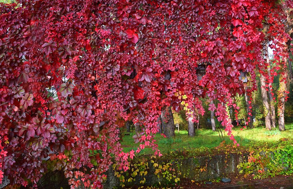 Photograph by Margo Margo