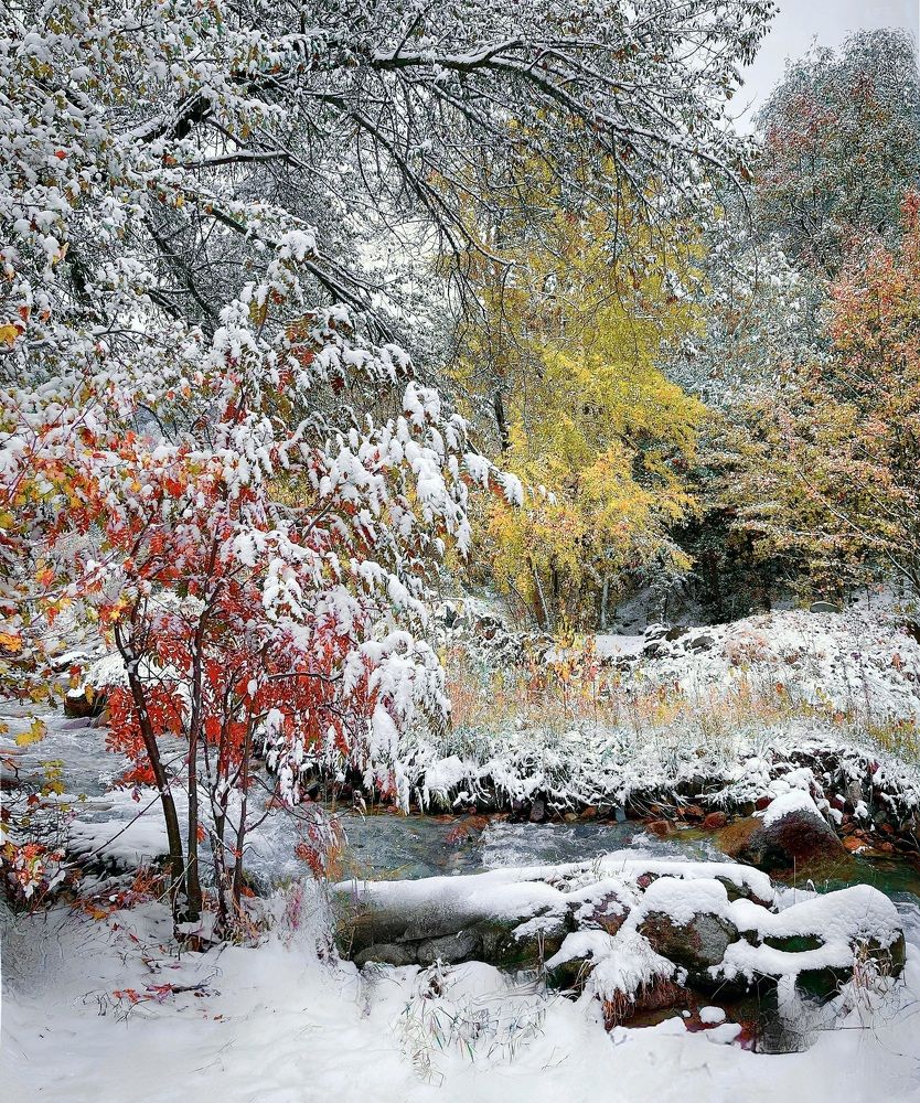 Photograph by Искандар Газизов