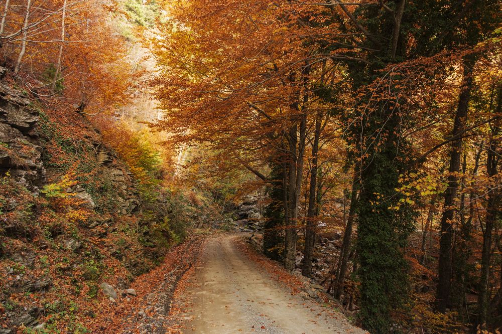 Photograph by Hasan Bayrak