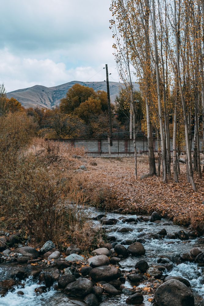 Фотография автора Дарья Шевченко