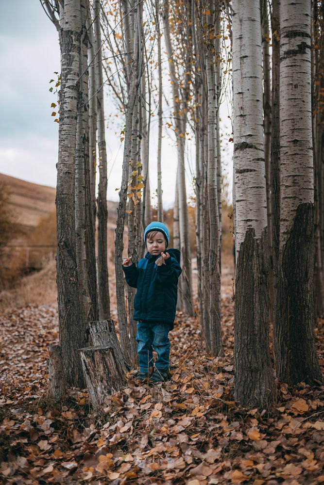 Фотография автора Дарья Шевченко