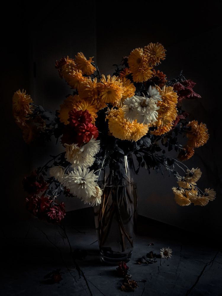 Photograph by Марина Тихонова