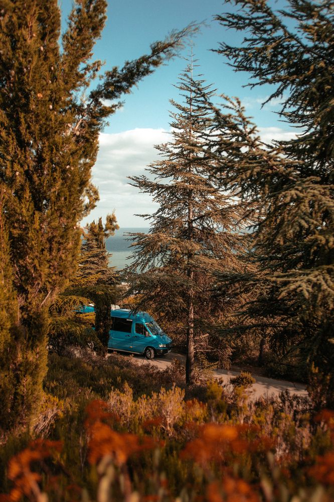 Photograph by Александра Егорова