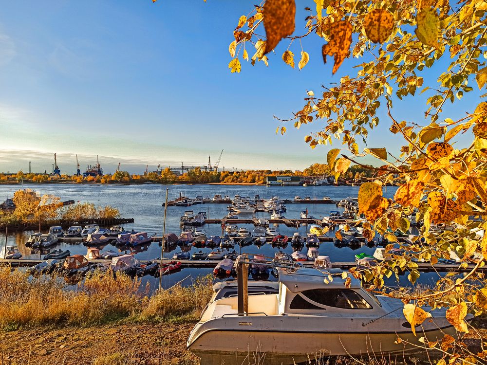 Photograph by Ольга Ситникова