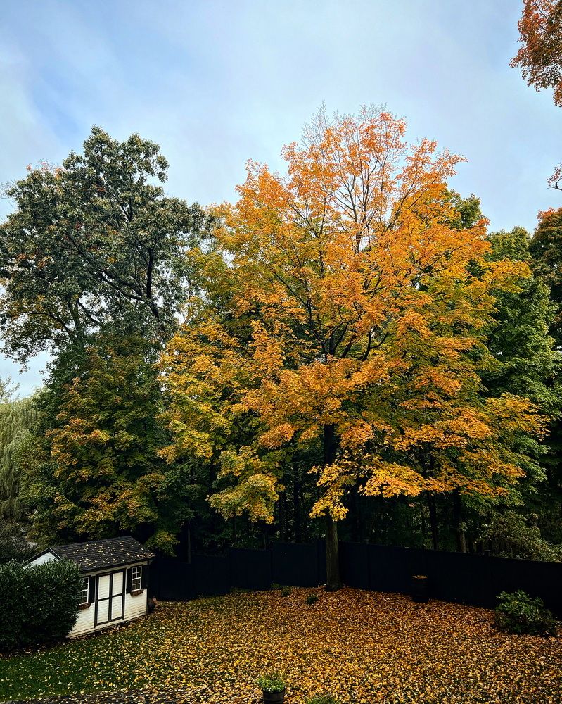 Photograph by Carlos