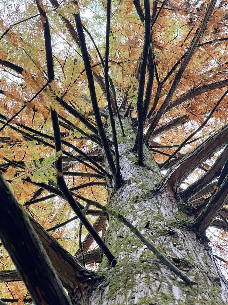 Photograph by Carlos