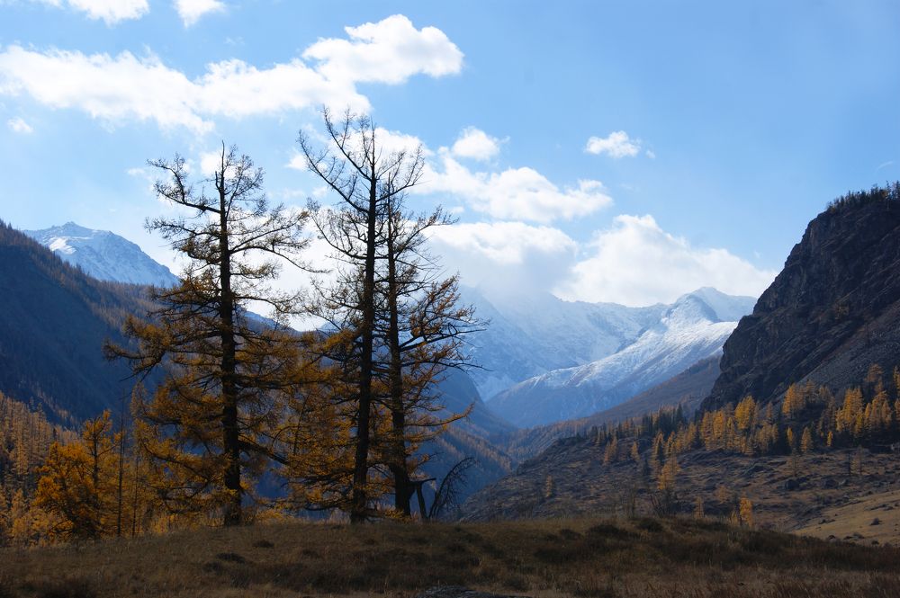 Photograph by Юлия Лазебная