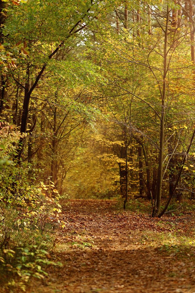 Photograph by Вероника Хведук