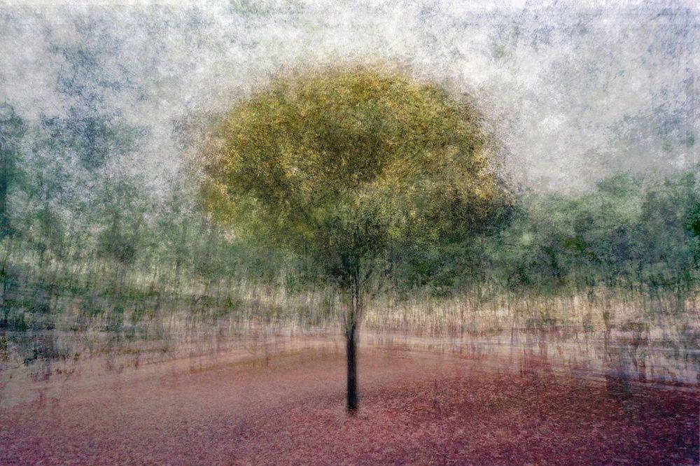 Photograph by Dimitris Lapousis