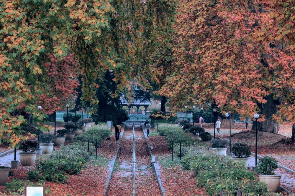 Photograph by Firdous Parray