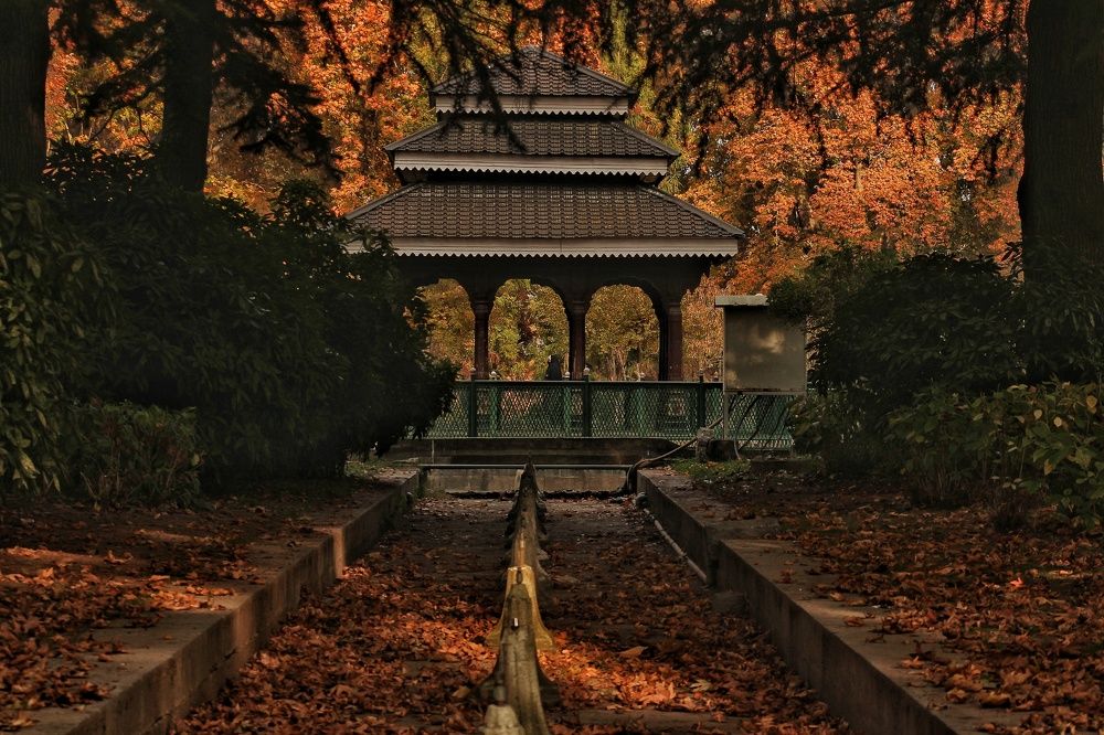 Photograph by Firdous Parray