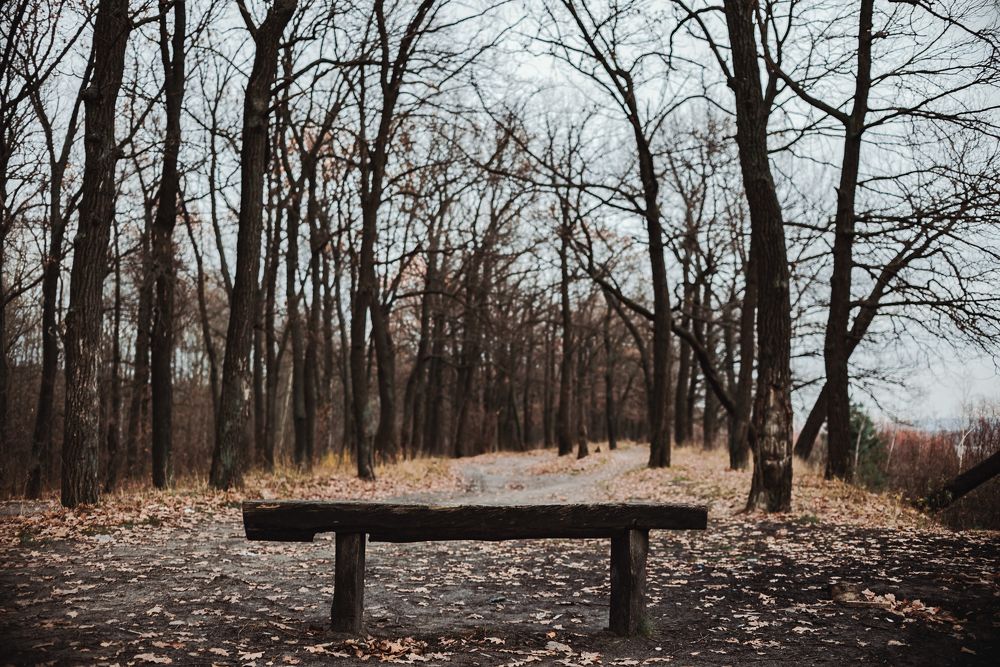 Photograph by Андрей Шелуков