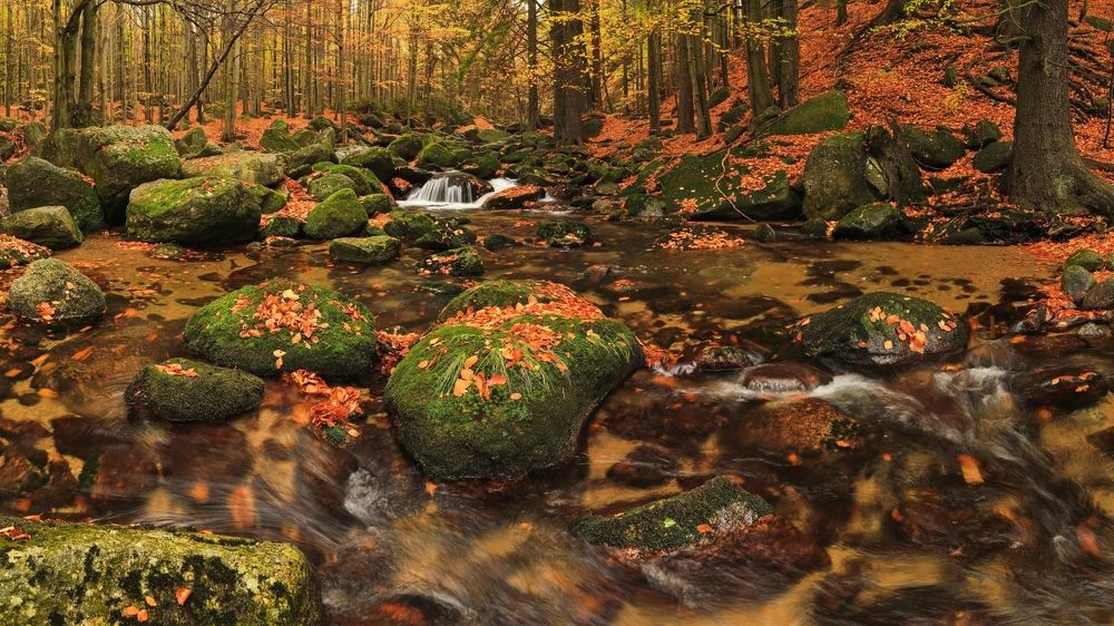 Фотография автора Michaela Vinterova