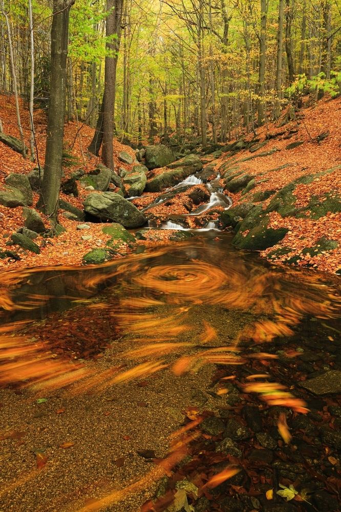 Фотография автора Michaela Vinterova