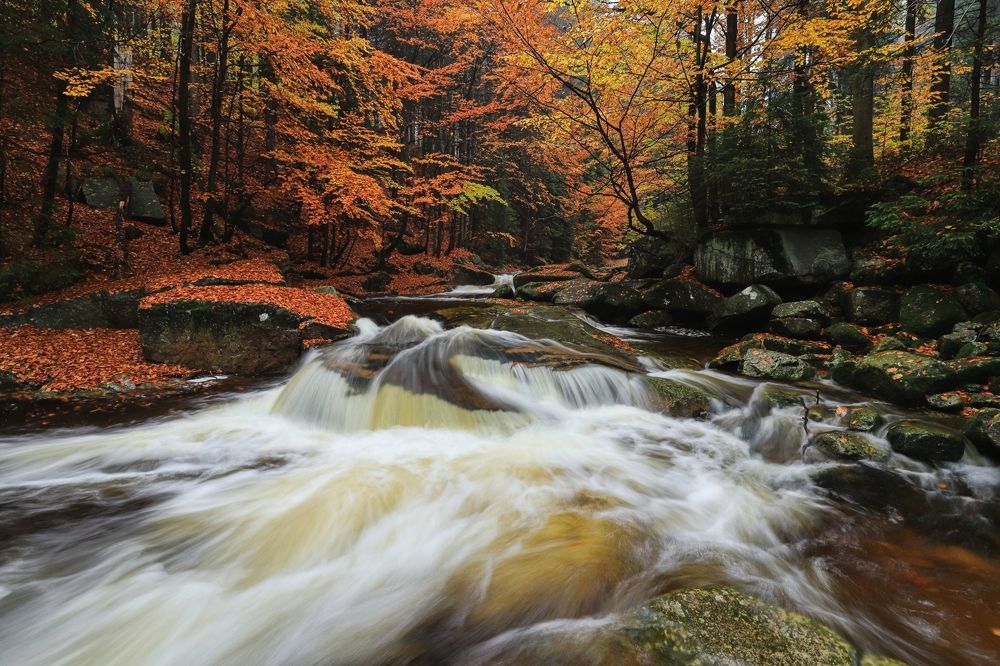 Фотография автора Michaela Vinterova