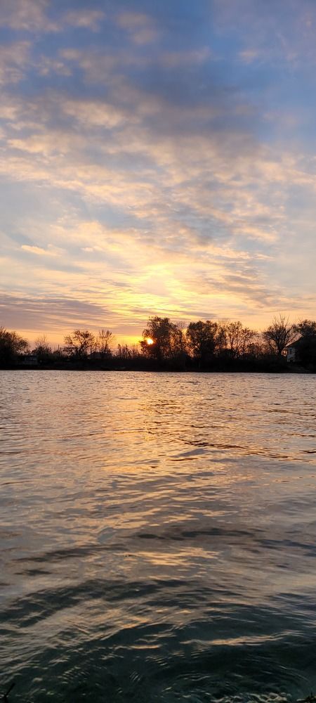 Photo #8357710