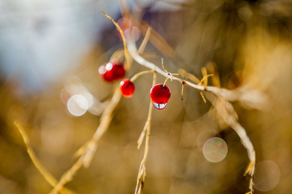 Фотография автора Юрий Фефилов