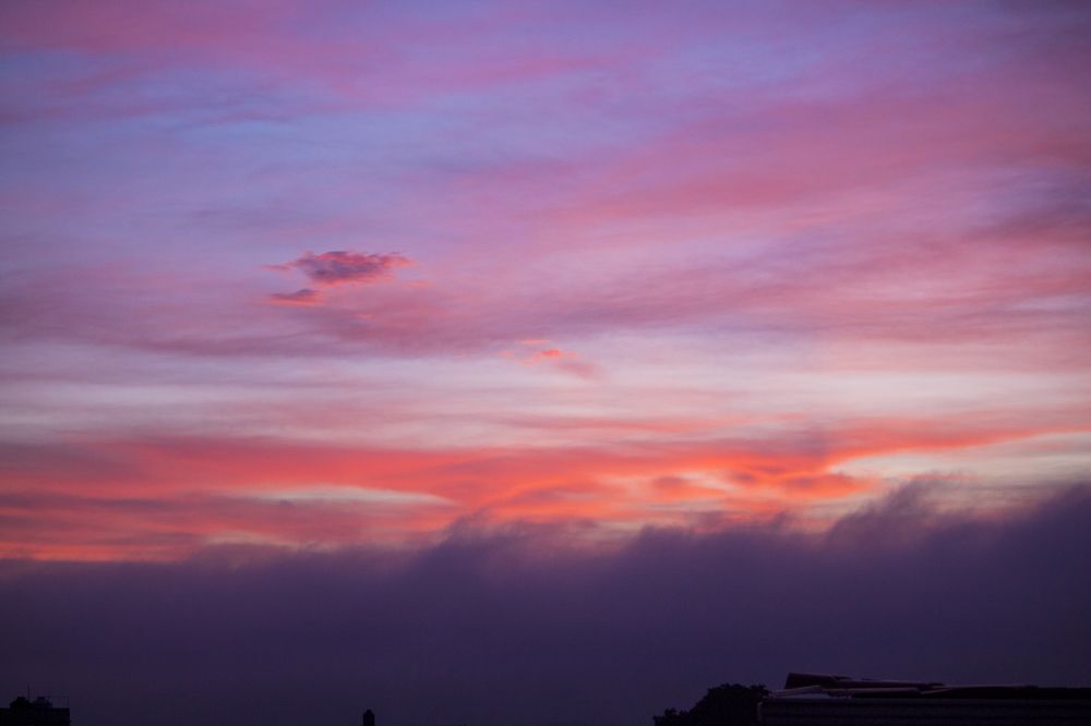 Photograph by Luis Par