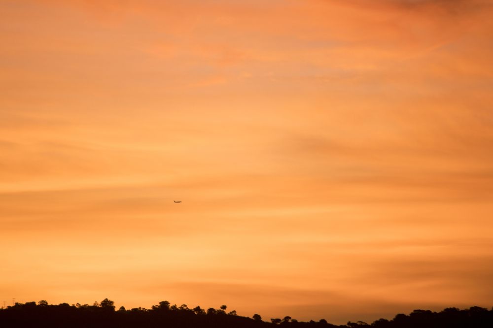 Photograph by Luis Par