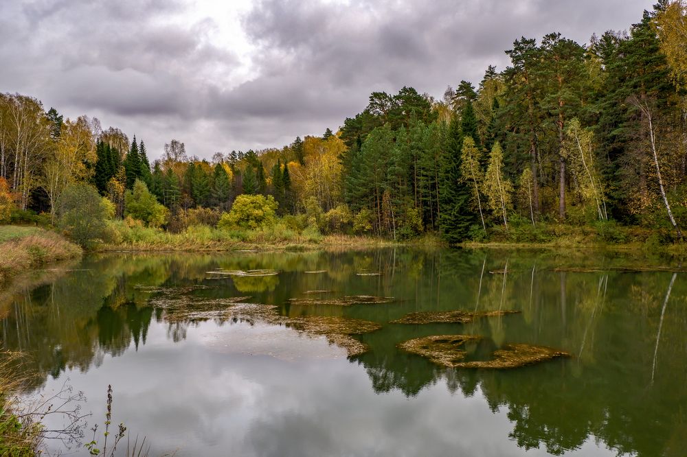 Photograph by Ольга Тюрина