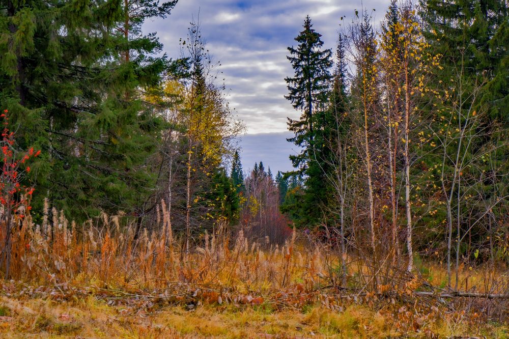 Photograph by Ольга Тюрина