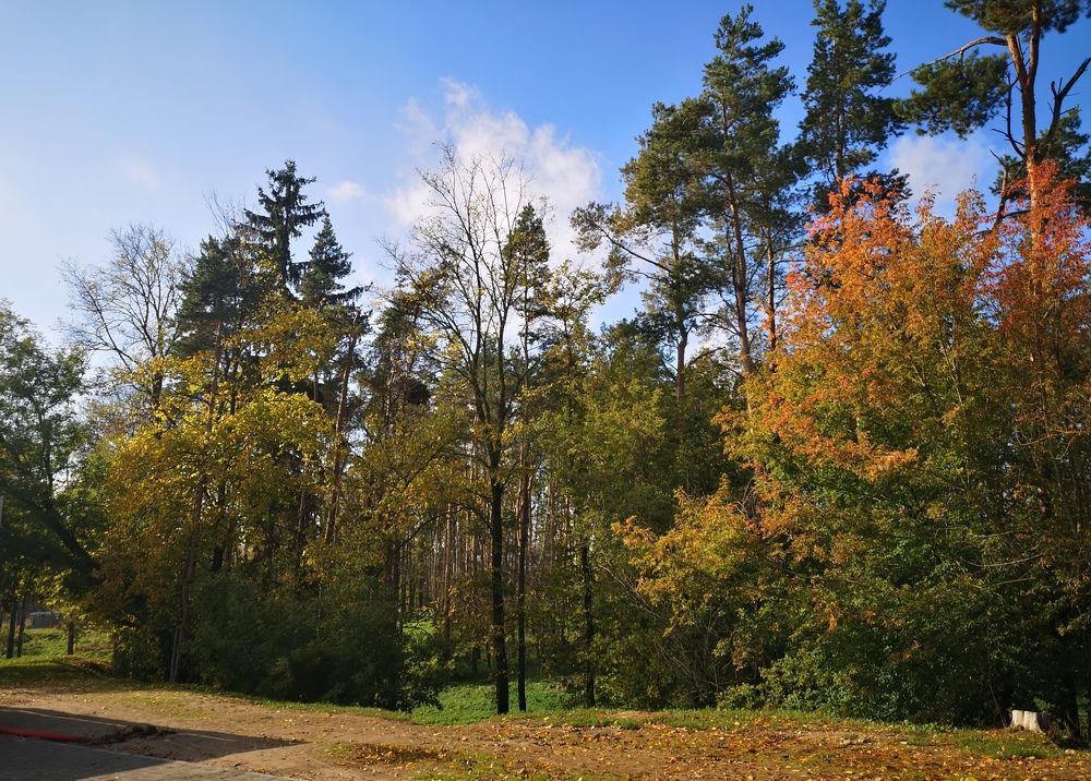 Photograph by Екатерина Борисовна Кузьмина