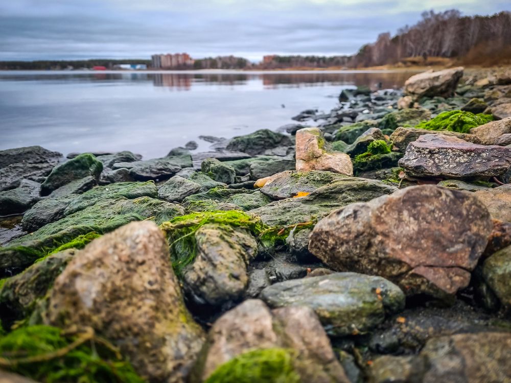 Photograph by Андрей Баталов