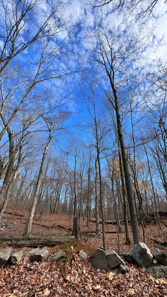 Photograph by Carlos