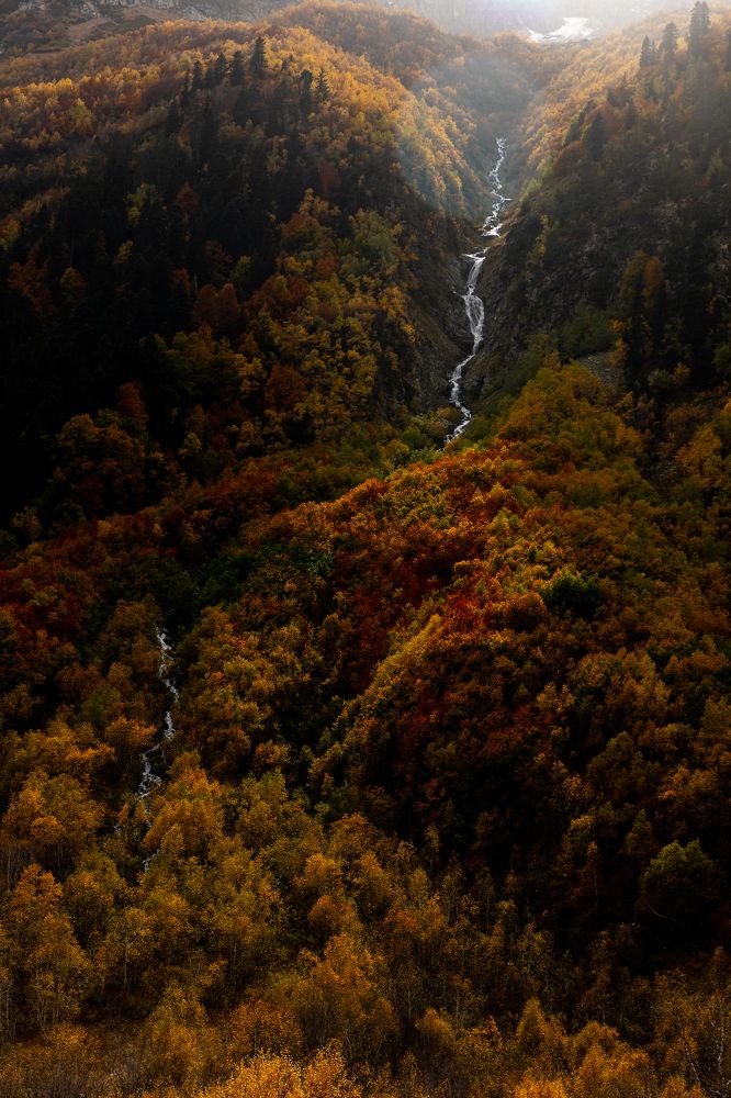 Photograph by Мария Раздорова