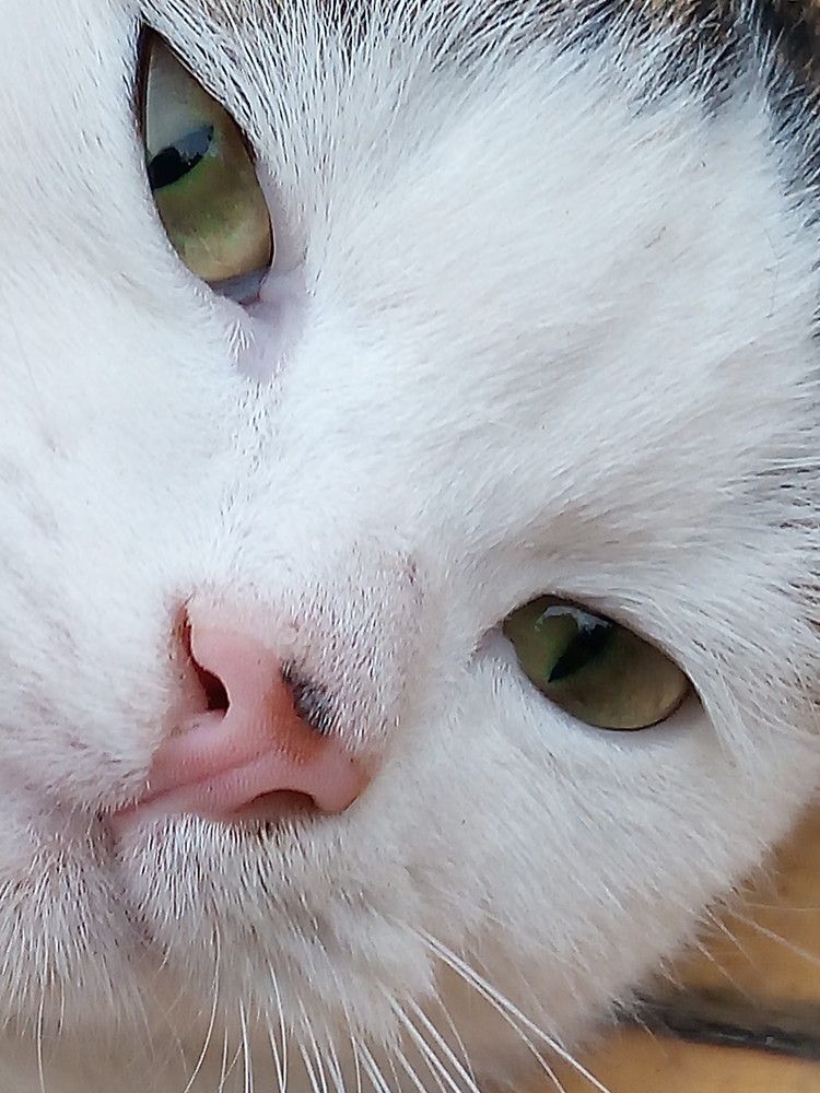 Photograph by Елена Мясникова