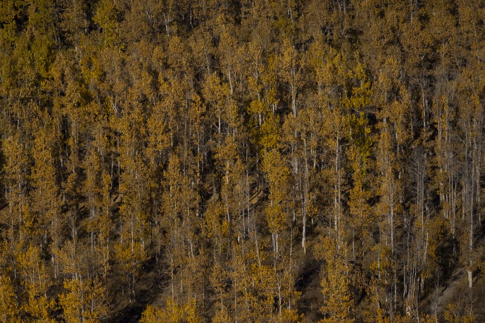 Photograph by Sourav Mahant