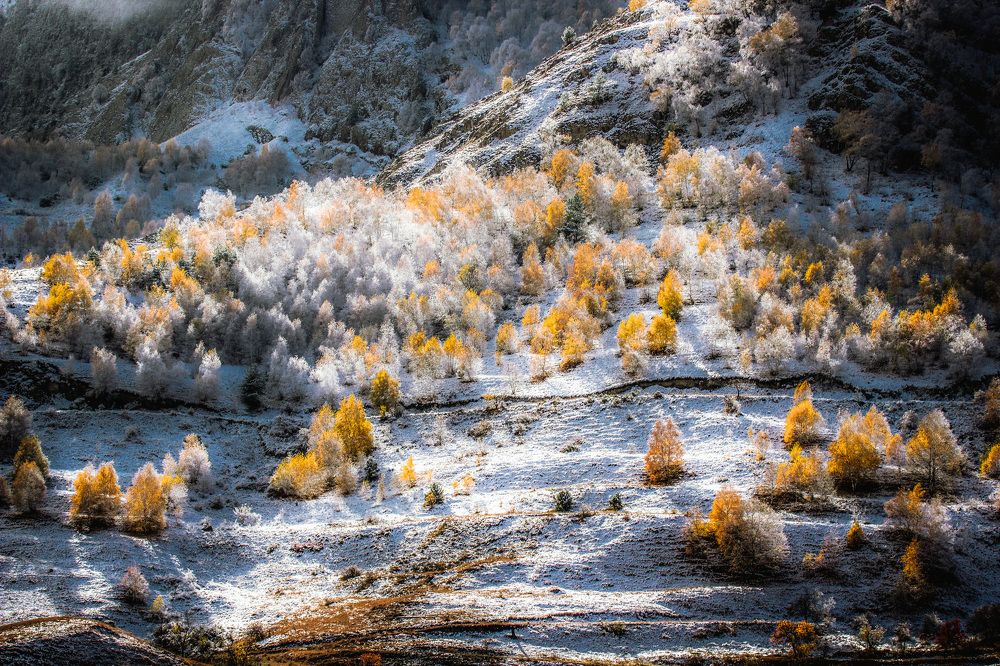 Photograph by Роман Иванов