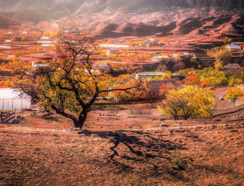 Photograph by Роман Иванов