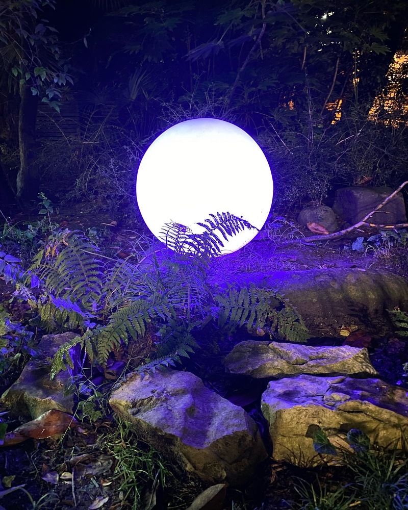 Photograph by Алиса Лукина