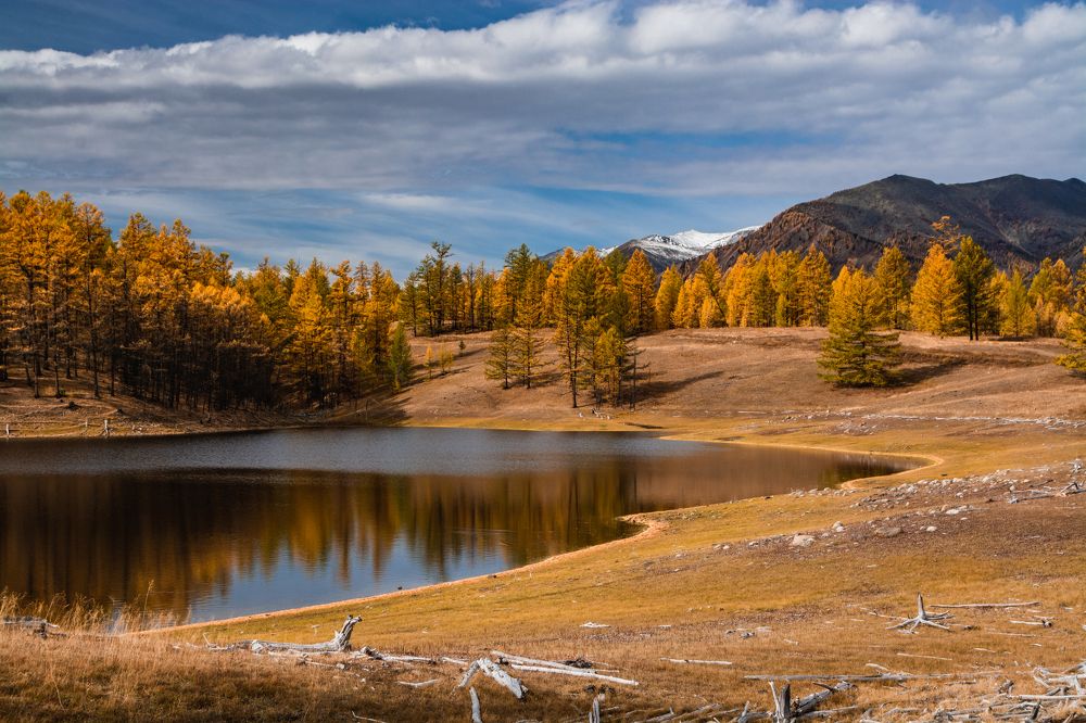 Photograph by Анастасия